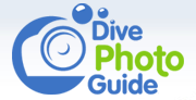 Dive photo guide portfolio